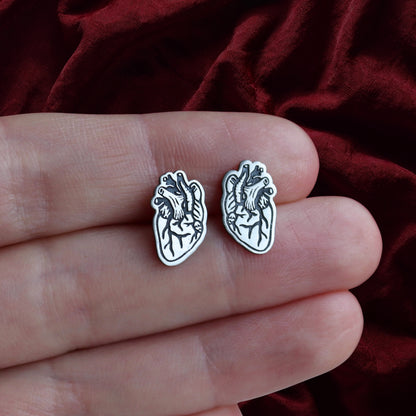 Anatomical Hear Studs