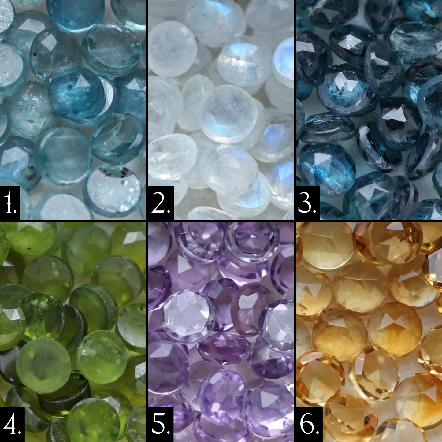 Dragonfly Gemstone Studs