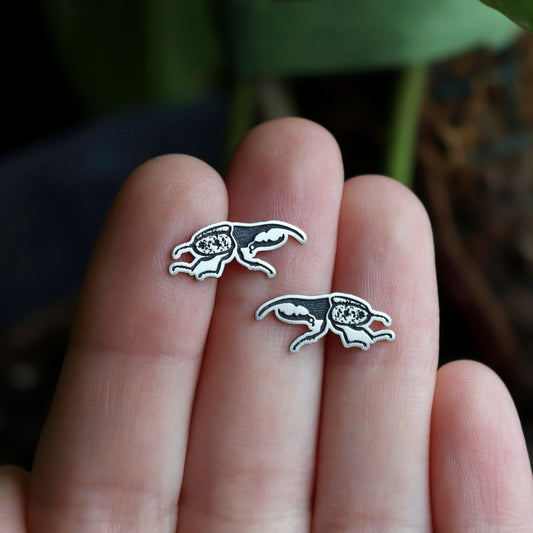 Hercules Beetle Studs
