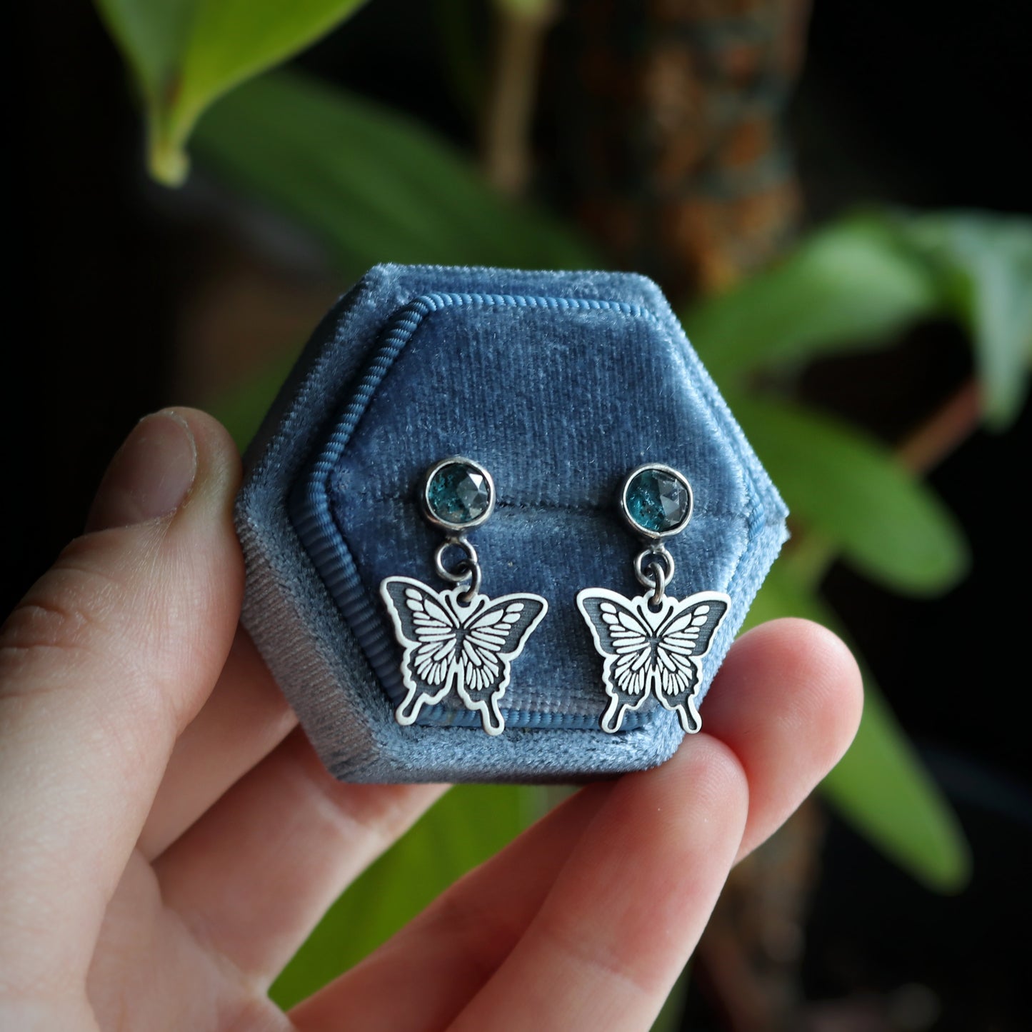 Swallowtail Kyanite Studs