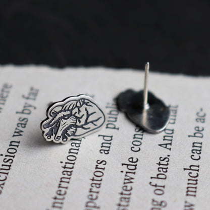 Anatomical Hear Studs